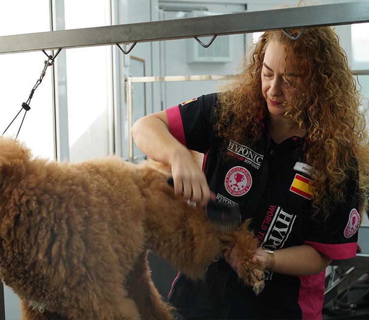 Grupo Cyma 2006 - Peluquería Canina en Empuriabrava