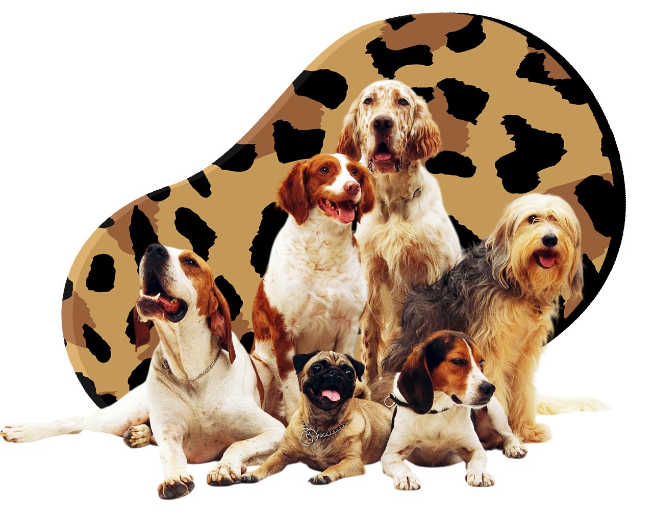 Asesoramiento para tu Mascota en Empuriabrava