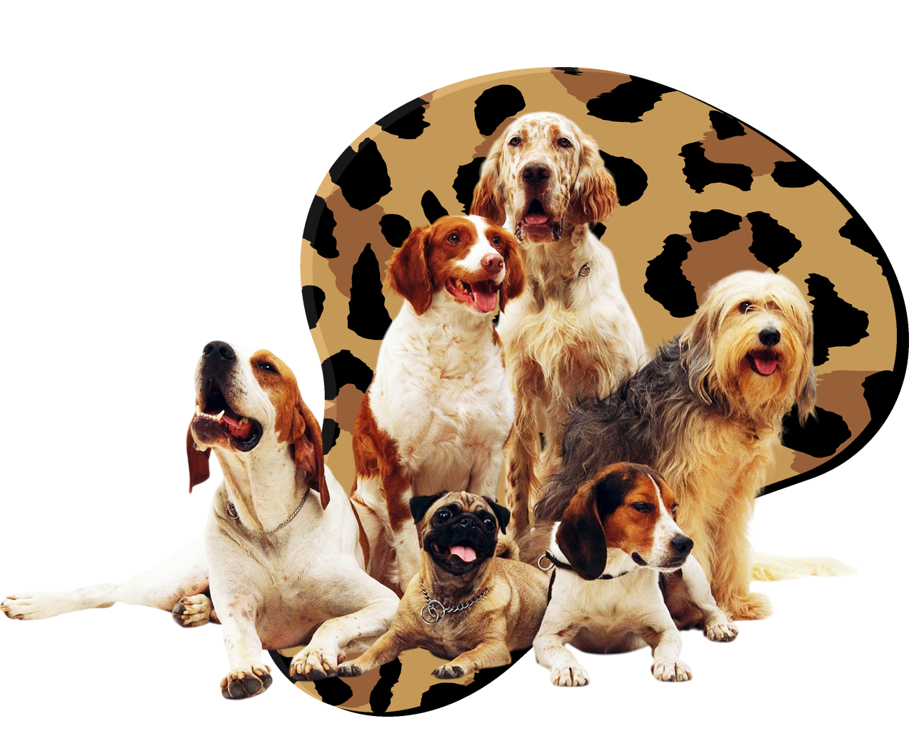 Perruqueria Canina a Empuriabrava, Girona